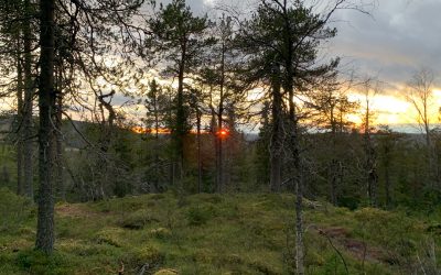 Teerivaaran kierros, Syötteen kansallispuisto, Pudasjärvi